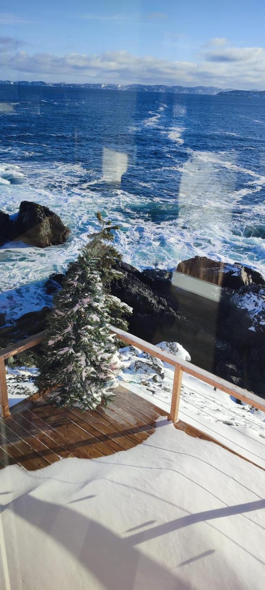 The View Suites And Breakfast In Triton, Newfoundland Pilley's Island Eksteriør bilde