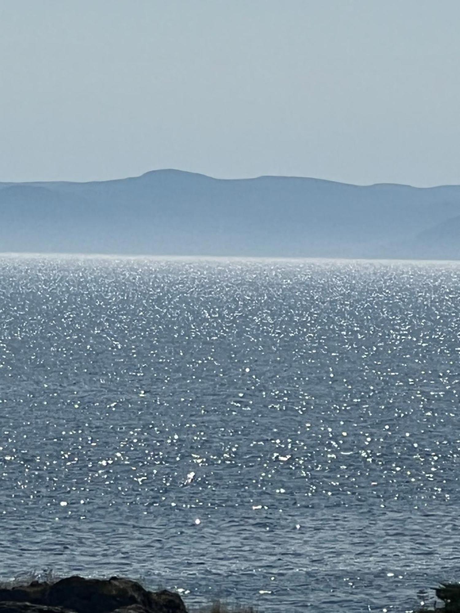 The View Suites And Breakfast In Triton, Newfoundland Pilley's Island Eksteriør bilde