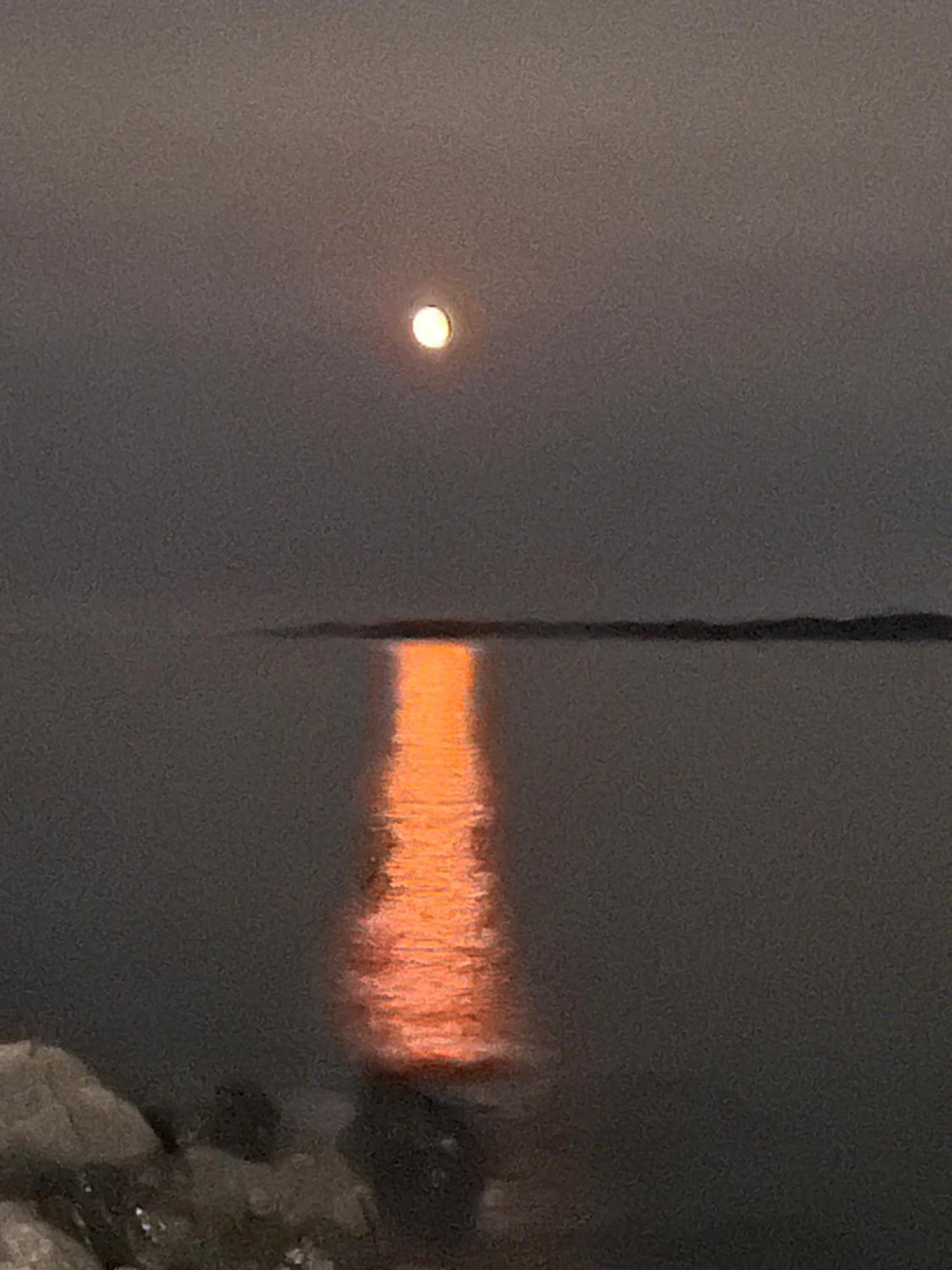 The View Suites And Breakfast In Triton, Newfoundland Pilley's Island Eksteriør bilde