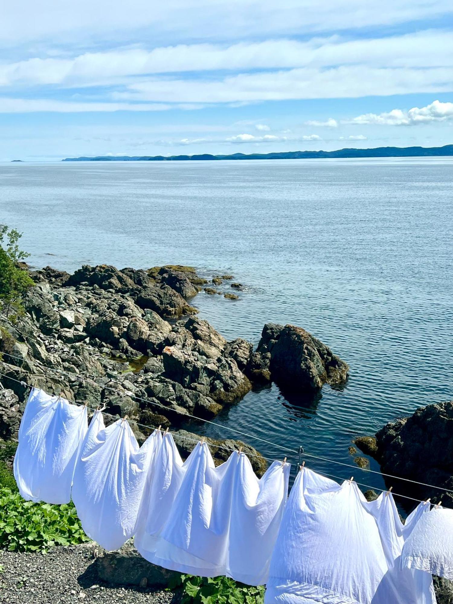 The View Suites And Breakfast In Triton, Newfoundland Pilley's Island Eksteriør bilde