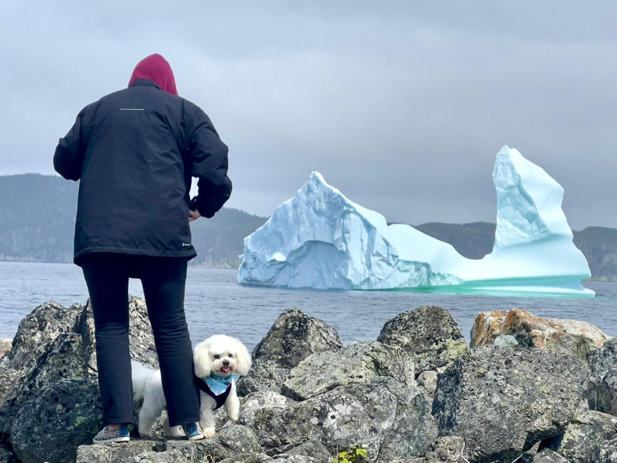 The View Suites And Breakfast In Triton, Newfoundland Pilley's Island Eksteriør bilde
