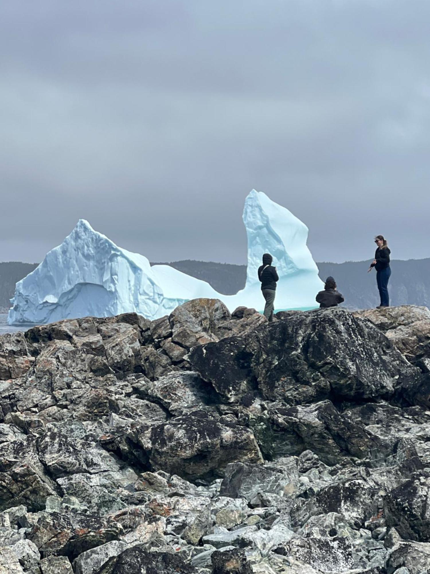 The View Suites And Breakfast In Triton, Newfoundland Pilley's Island Eksteriør bilde