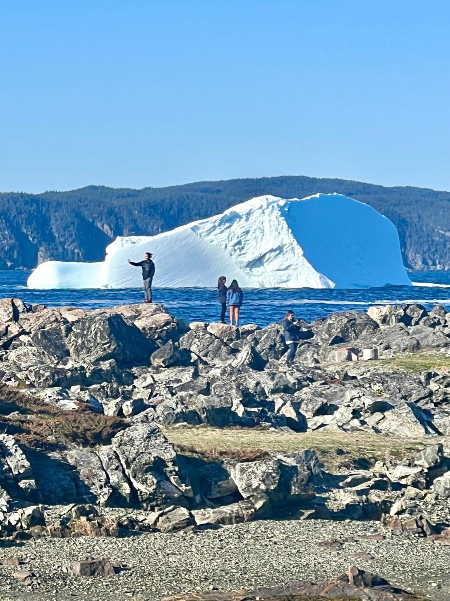 The View Suites And Breakfast In Triton, Newfoundland Pilley's Island Eksteriør bilde