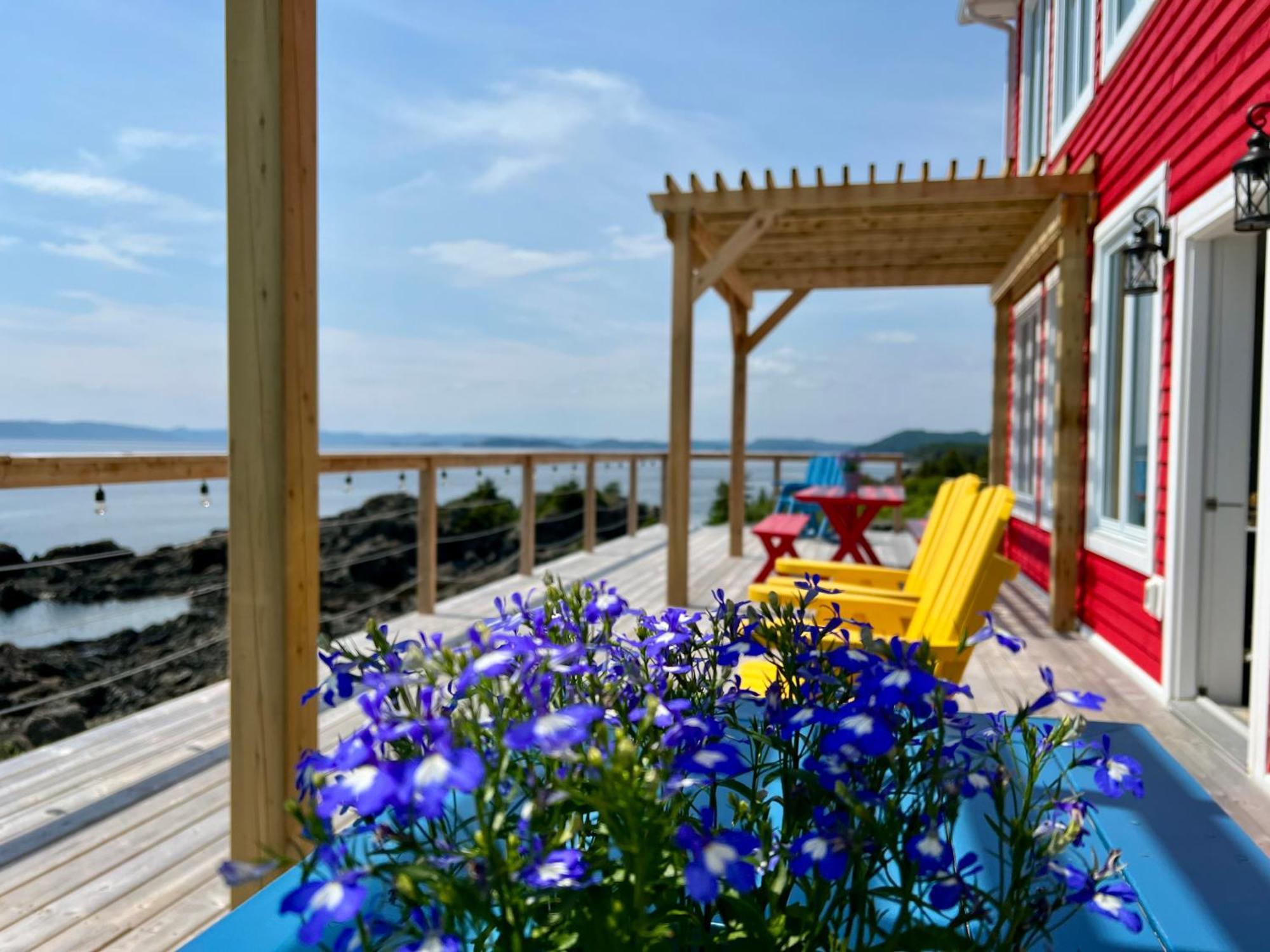 The View Suites And Breakfast In Triton, Newfoundland Pilley's Island Eksteriør bilde