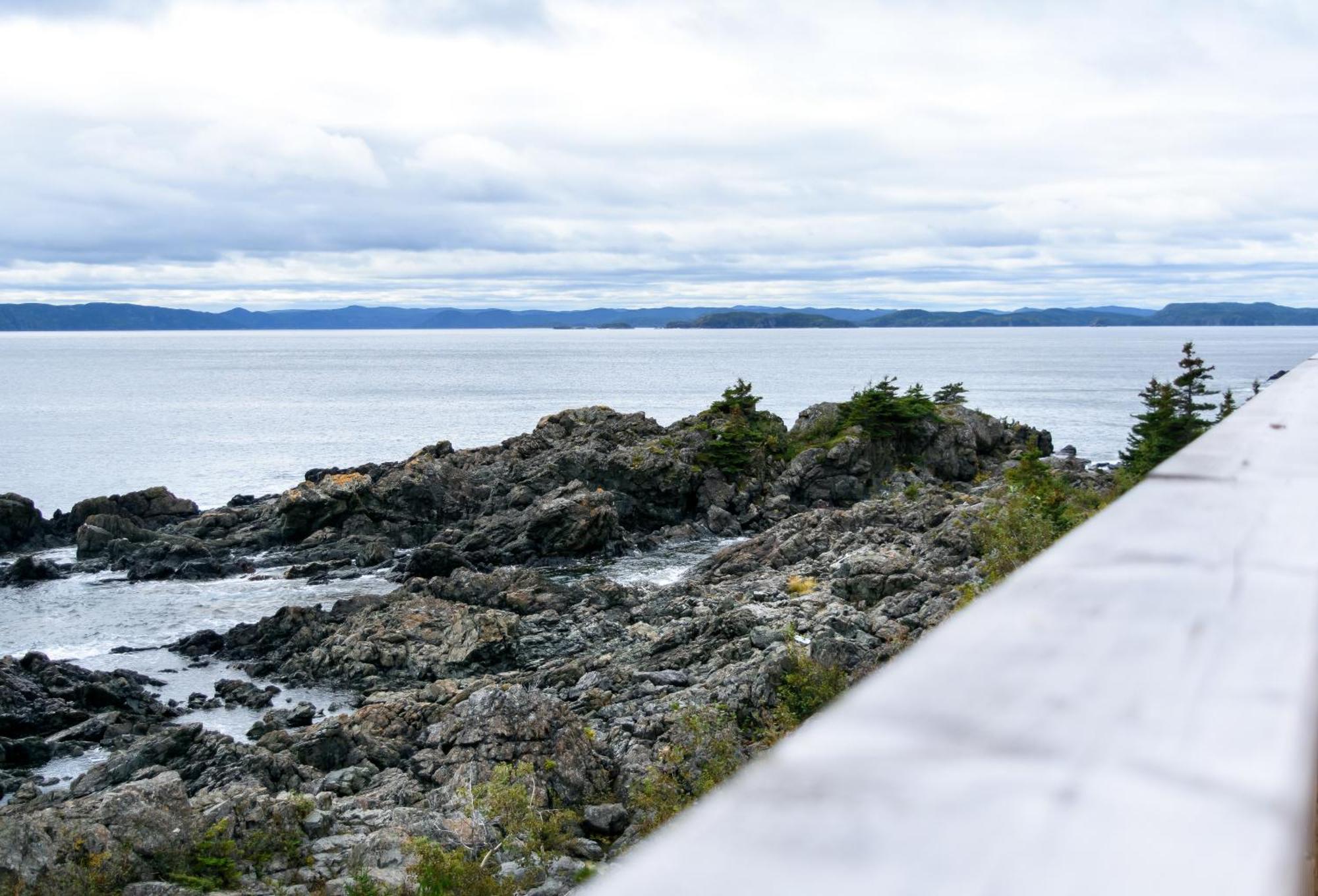 The View Suites And Breakfast In Triton, Newfoundland Pilley's Island Eksteriør bilde